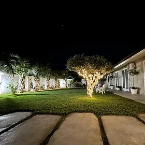 Amantea Monument Bed & Breakfast Terrasini